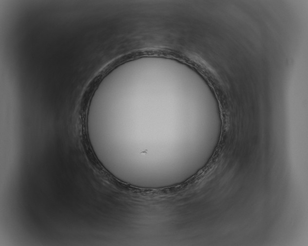 X0000101221208200806270917