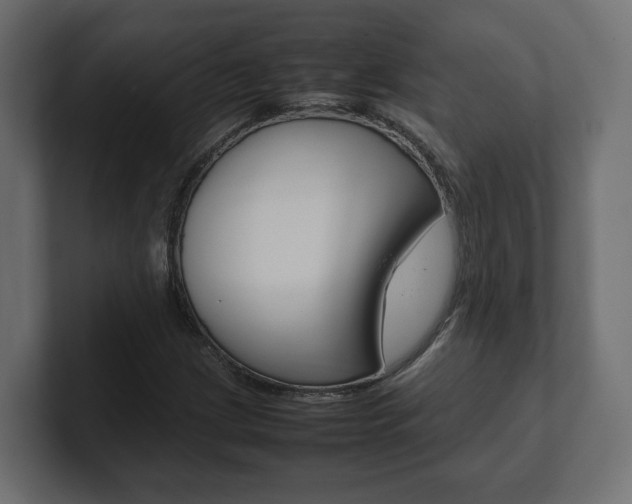 X0000101221209200806270917