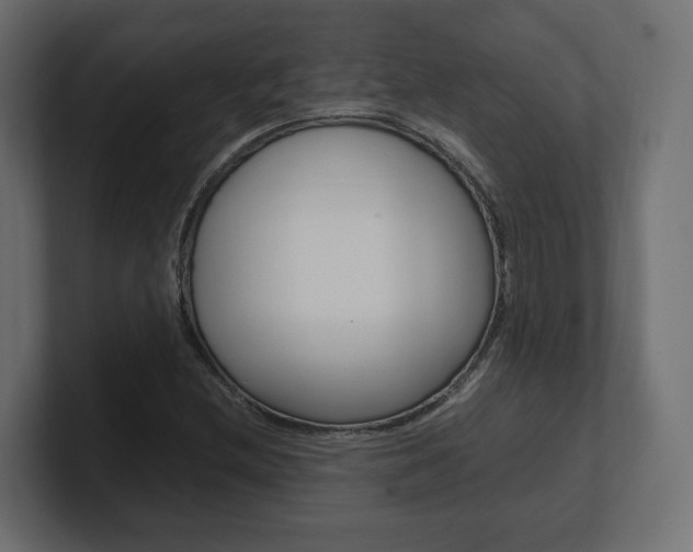 X0000101221212200806270917