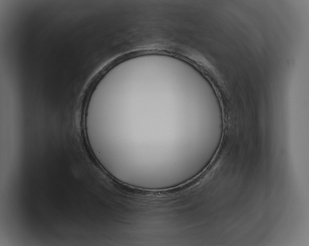 X0000101221216200806270917
