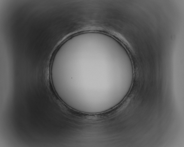 X0000101221220200806270917
