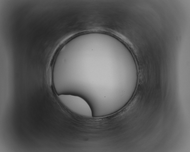 X0000101221223200806270918