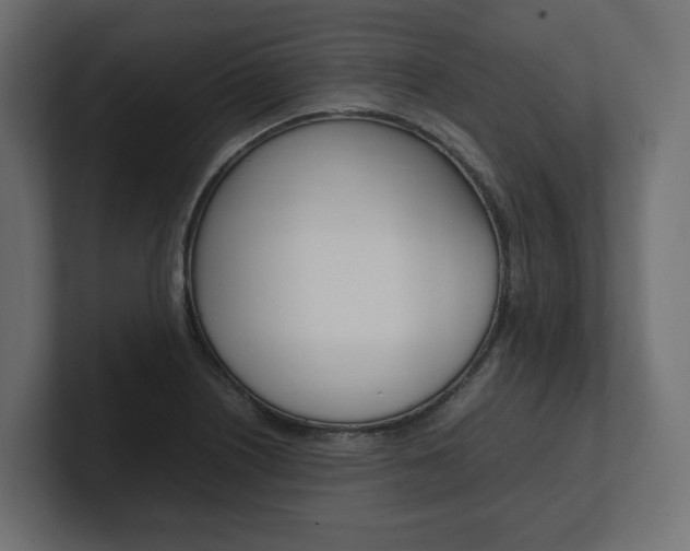 X0000101221226200806270918