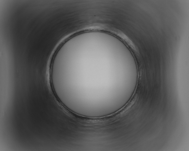 X0000101221232200806270918