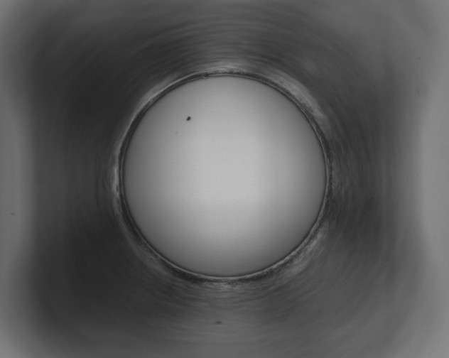 X0000101221234200806270918