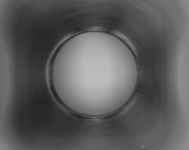X0000101221235200806270918