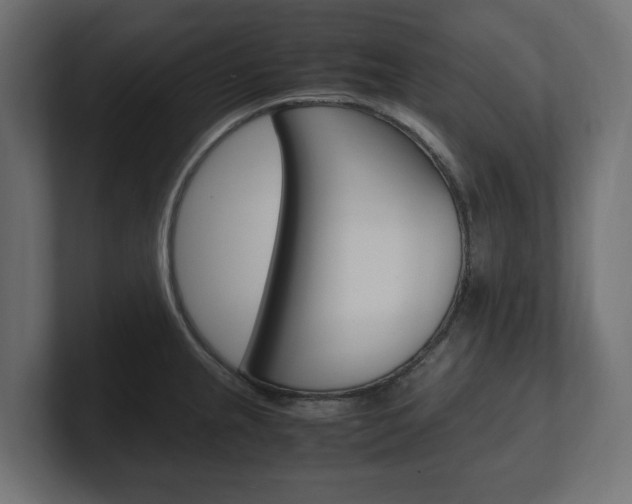 X0000101221237200806270918