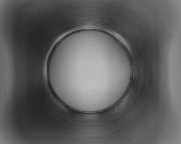 X0000101221238200806270918