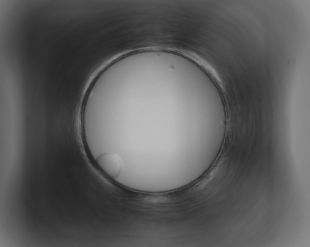 X0000101221239200806270918