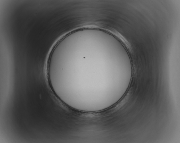 X0000101221240200806270918