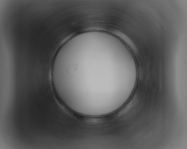 X0000101221241200806270918