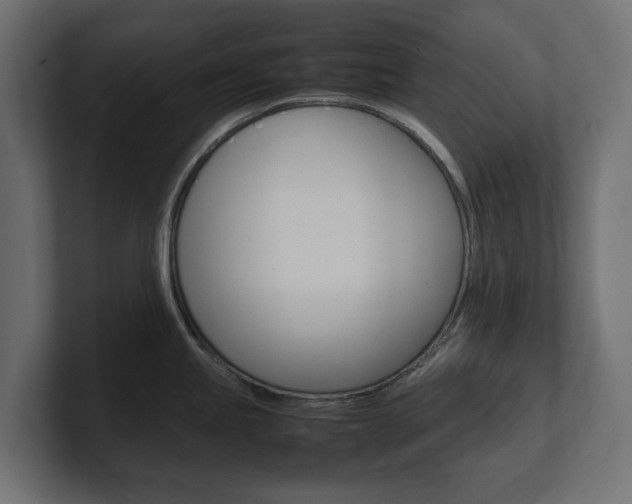 X0000101221245200806270918