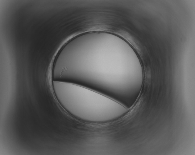 X0000101221246200806270918