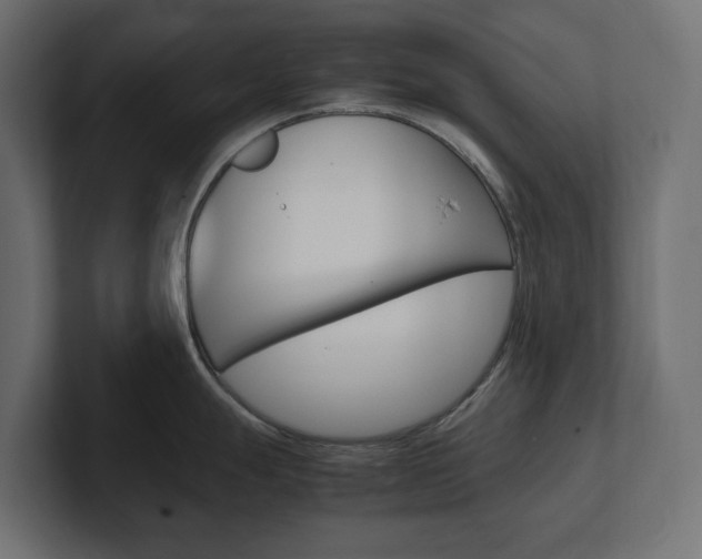 X0000101221247200806270918