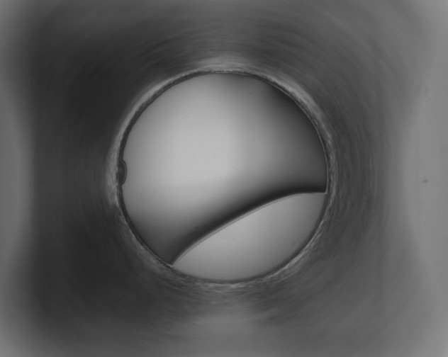 X0000101221248200806270918