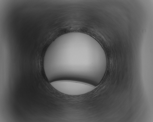 X0000101221250200806270917