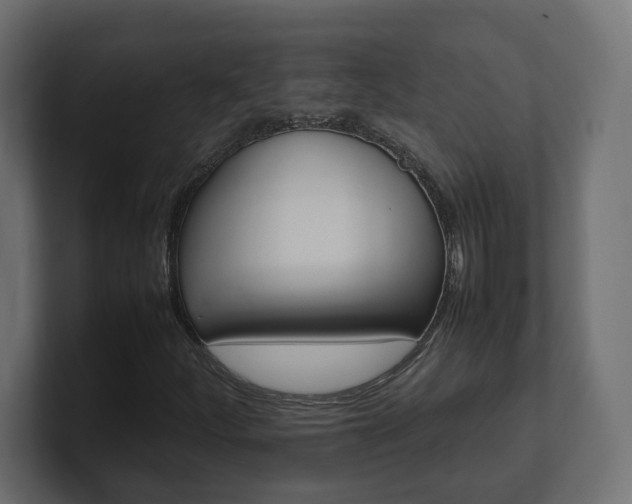 X0000101221252200806270917