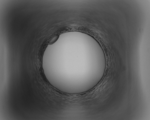 X0000101221253200806270917