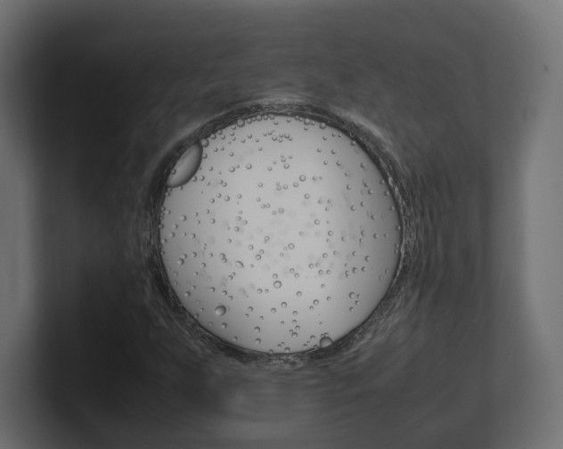 X0000101221255200806270917