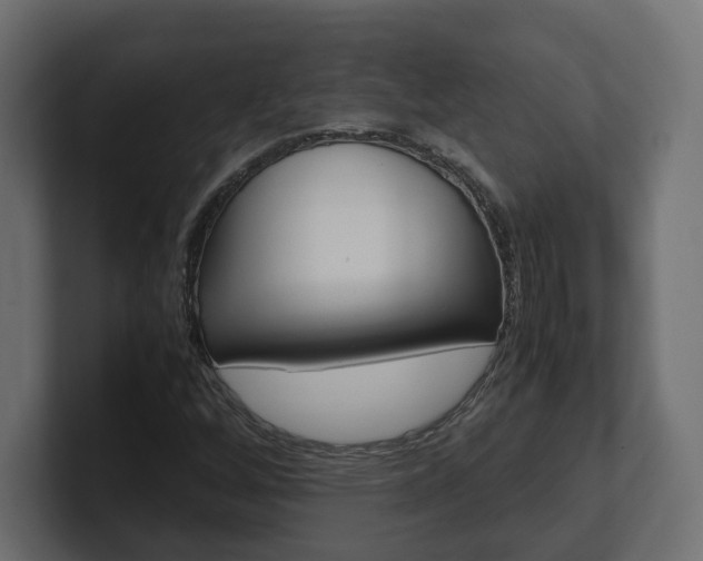 X0000101221256200806270917