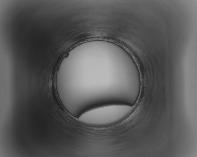 X0000101221257200806270917