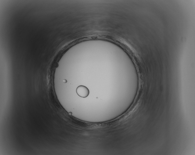 X0000101221259200806270917