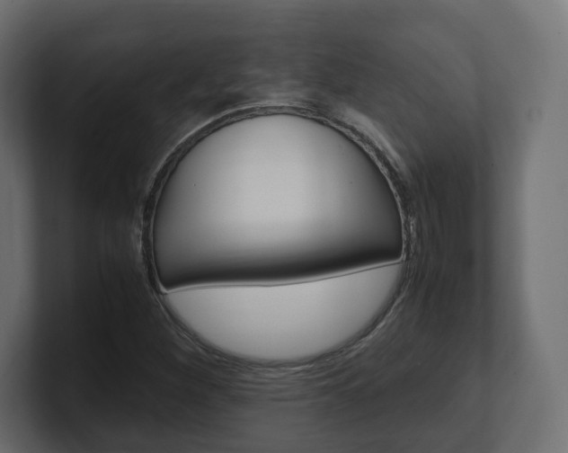 X0000101221260200806270917