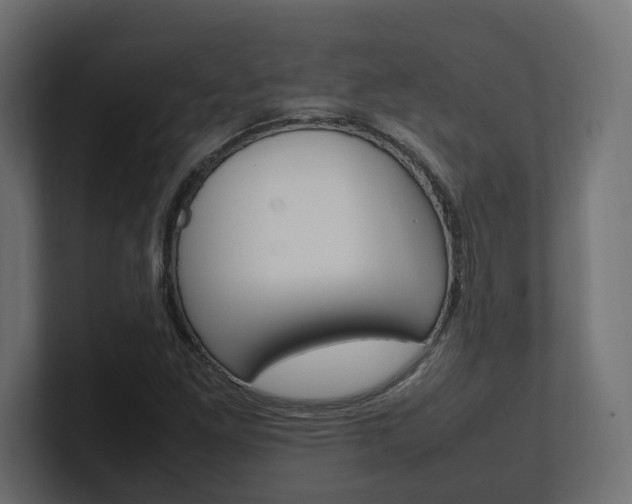 X0000101221261200806270917