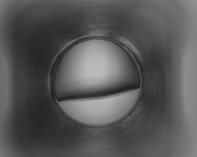 X0000101221268200806270917