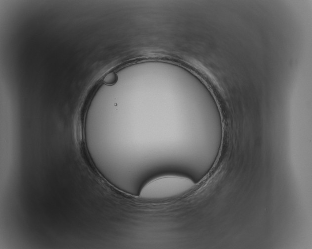 X0000101221269200806270917