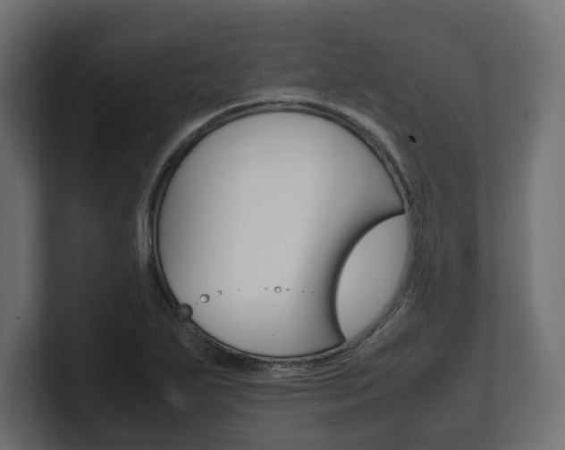 X0000101221271200806270917