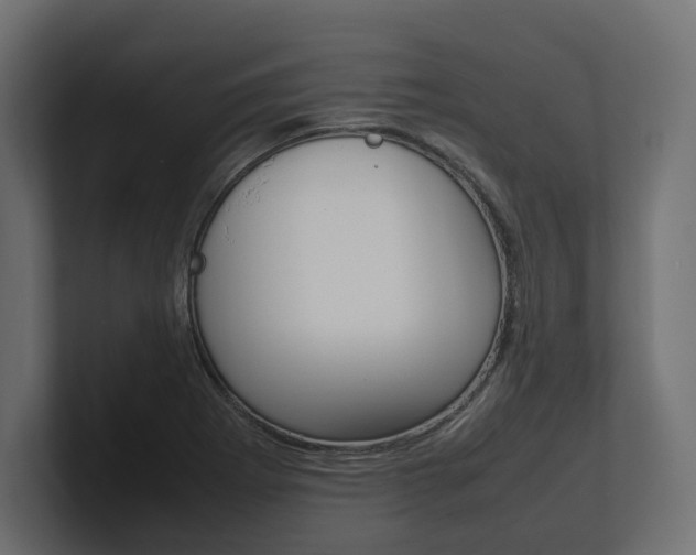 X0000101221273200806270917
