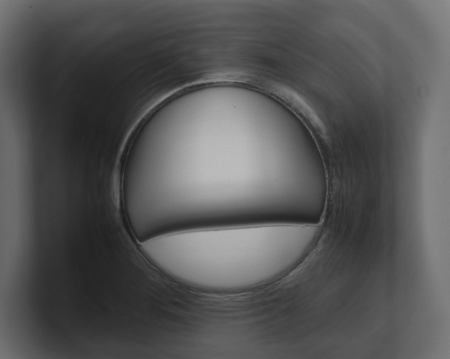 X0000101221276200806270917