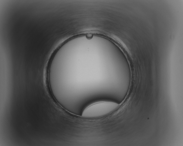 X0000101221277200806270917