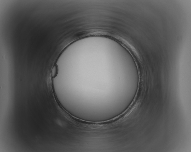 X0000101221281200806270917