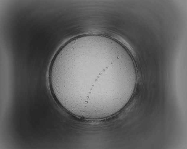 X0000101221283200806270917