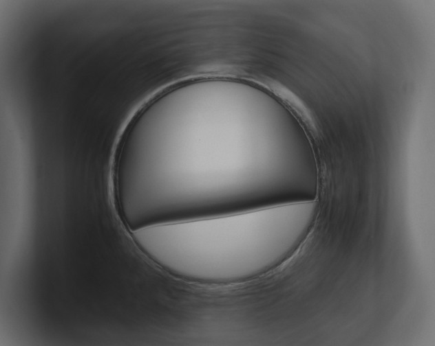 X0000101221288200806270917
