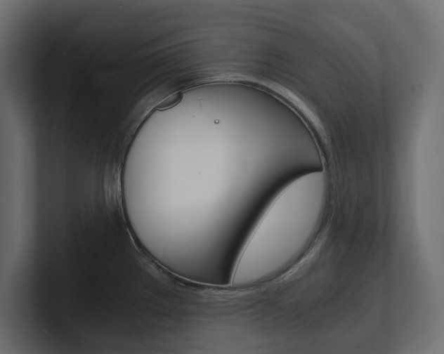 X0000101221289200806270917