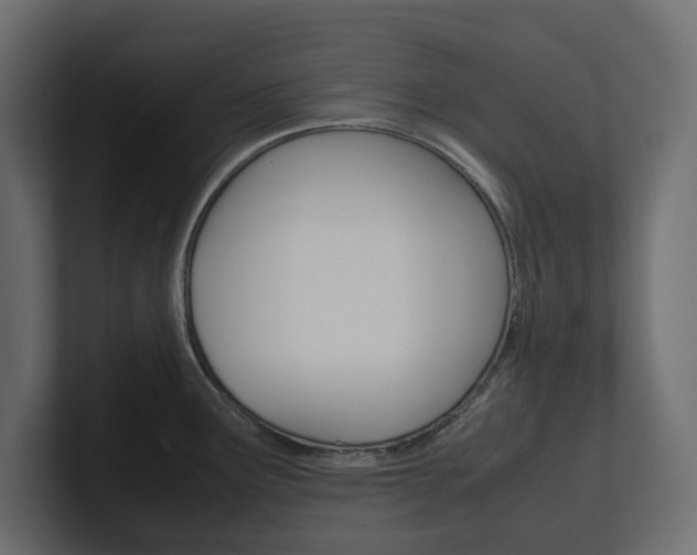 X0000101221291200806270917