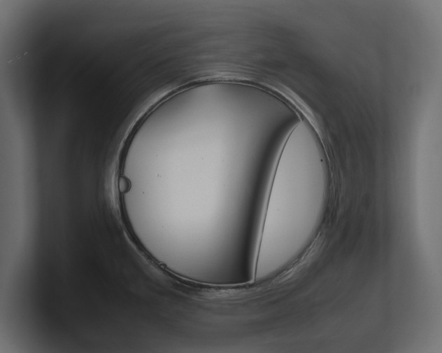 X0000101221293200806270917