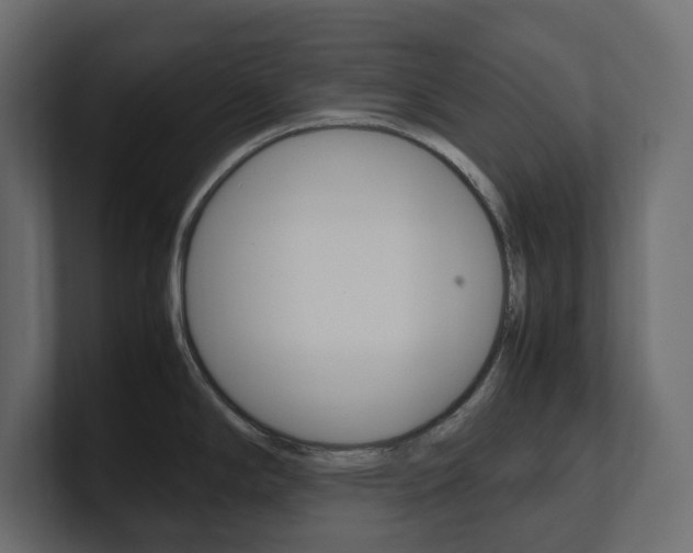 X0000101221294200806270917