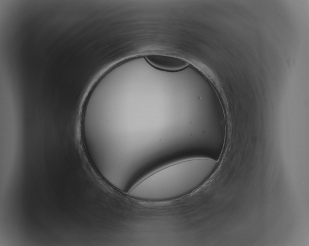 X0000101221296200806270917