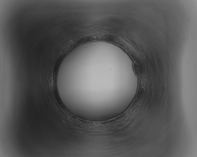 X0000101221298200806270916