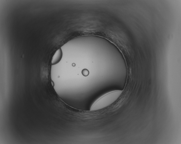 X0000101221300200806270916