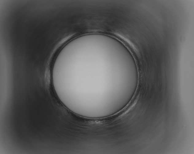 X0000101221317200806270916