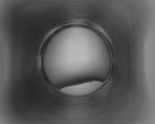 X0000101221320200806270916