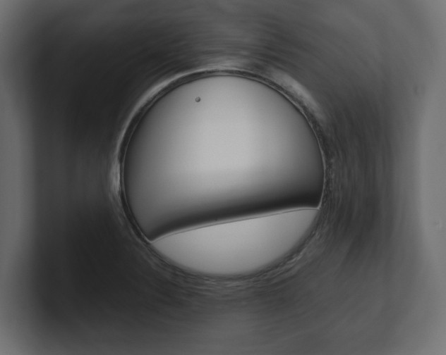 X0000101221324200806270916