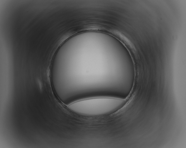 X0000101221329200806270916