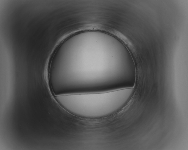 X0000101221334200806270916