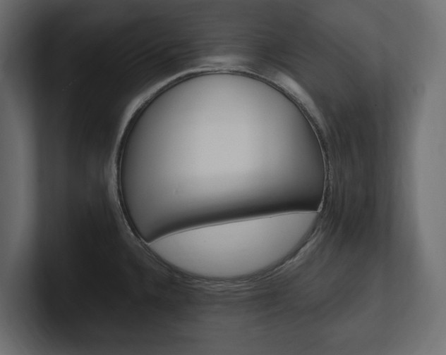 X0000101221336200806270916